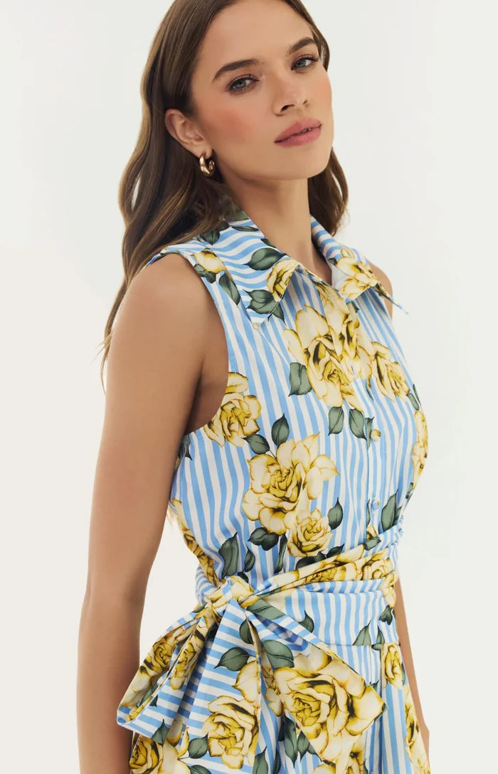 Biltmore Dress-Blue/Yellow Multi Striped Rose