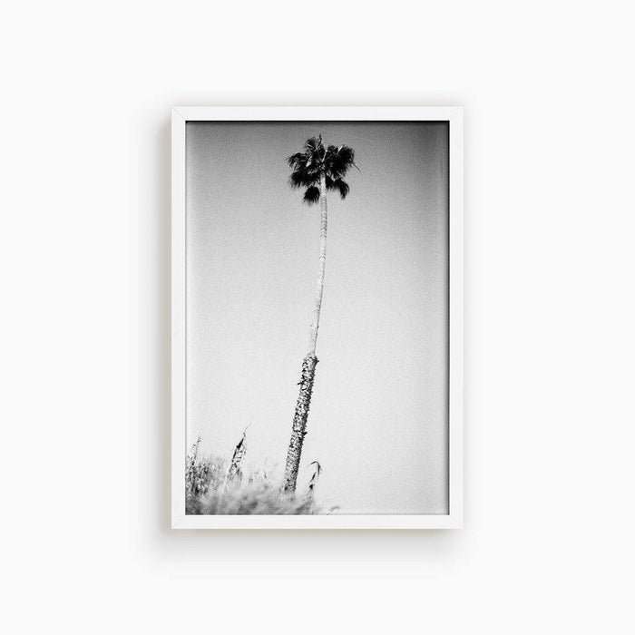 16 x 24 inches | Edition of 20 / White / Full Bleed