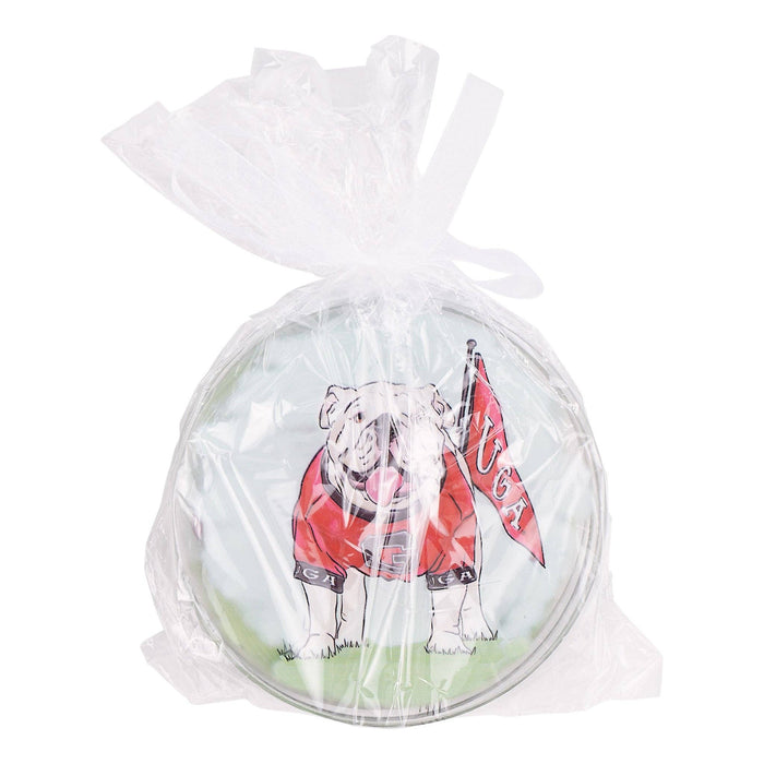 Georgia Ornament Set/4