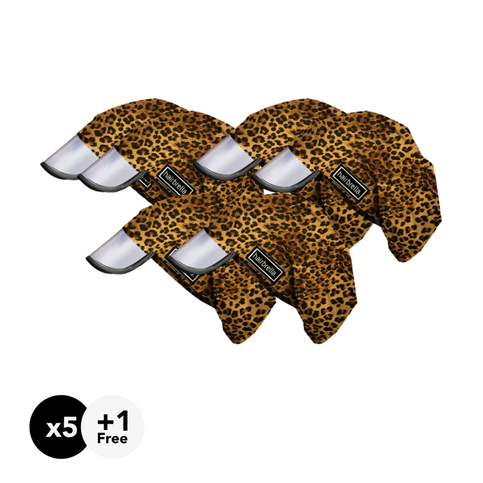 Leopard (6)