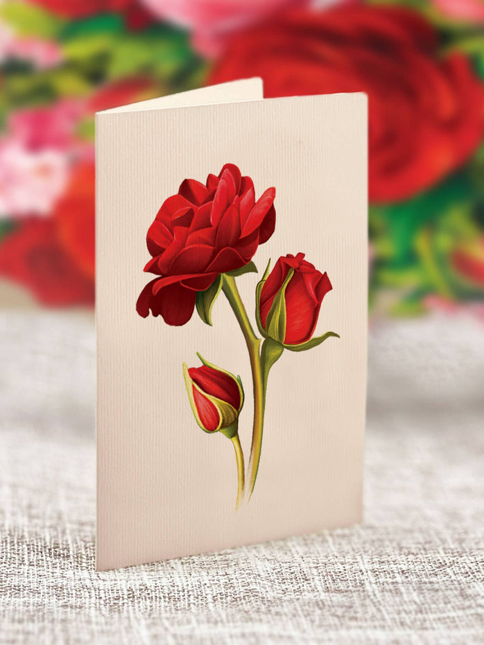 Mini Blooming Roses | Pop-up Greeting Cards