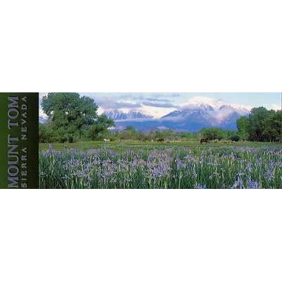 Mt. Tom Bishop Bookmark