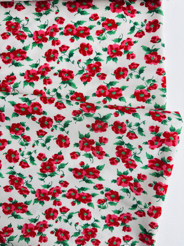 Red Rose on White - White - MomNSon