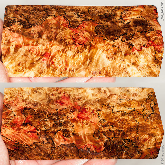 Stabilized wood spalted box elder burl block