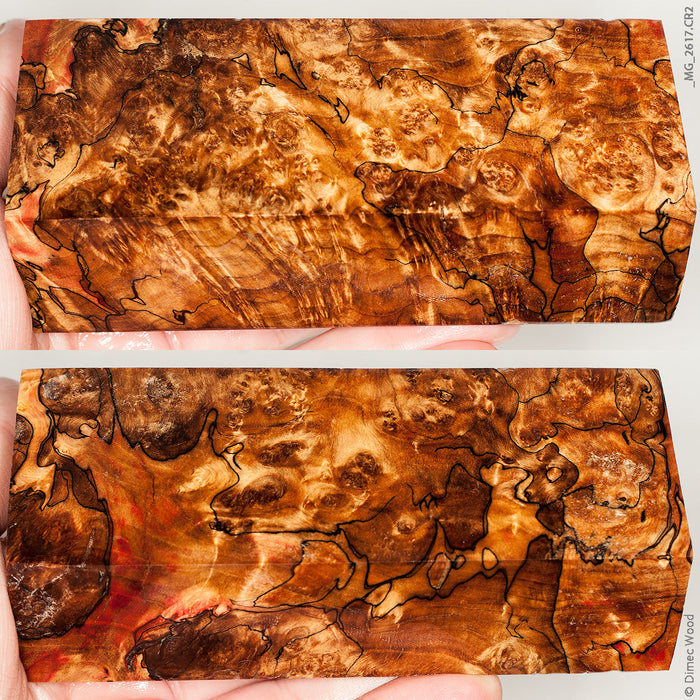 Stabilized wood spalted box elder burl block