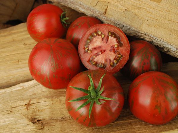 TOMATO 'Pink Boar'