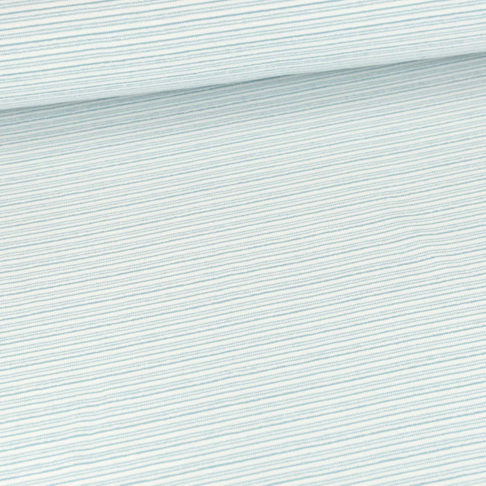 Yarn Dyed Stripes Blue Organic French Terry