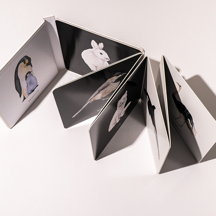 Baby's Black and White Contrast Book - Babies in Bloom