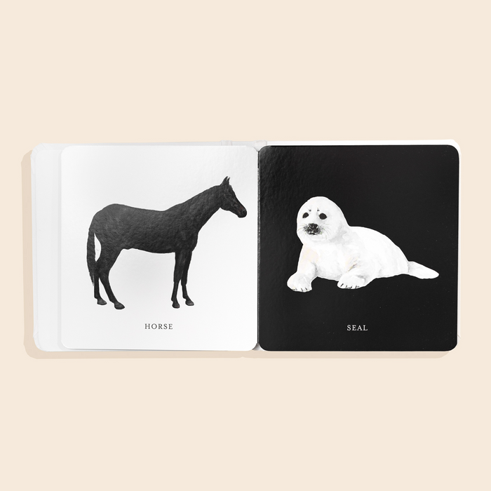 Baby's Black and White Contrast Book - Babies in Bloom