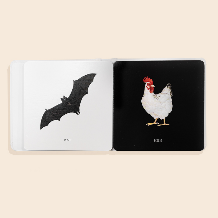 Baby's Black and White Contrast Book - Babies in Bloom