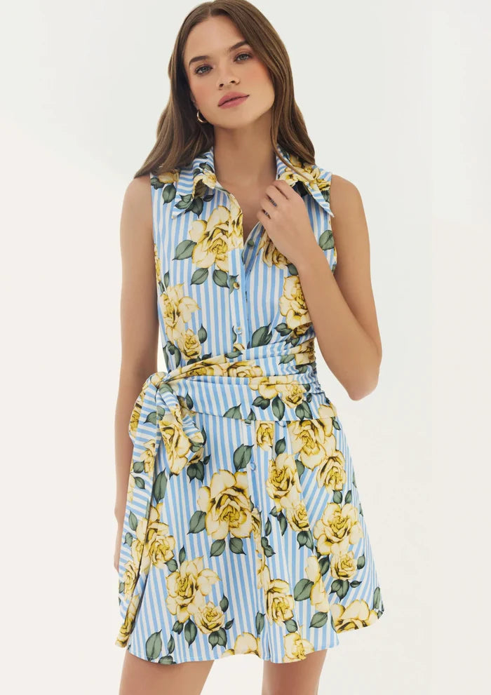 Biltmore Dress-Blue/Yellow Multi Striped Rose