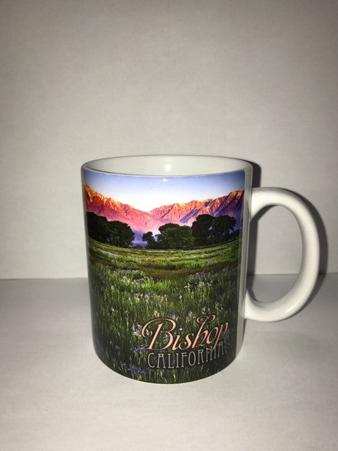 Bishop California Mug