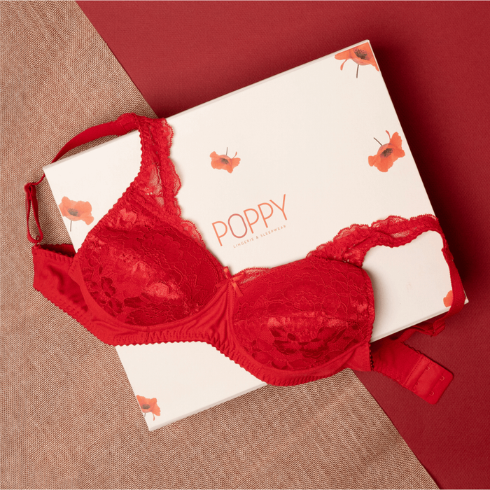 Blossom 003 – Padded Lace Bra in Chic Colours