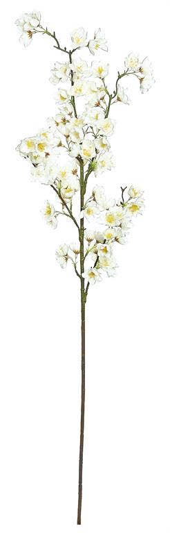 Cherry Blossom Branch