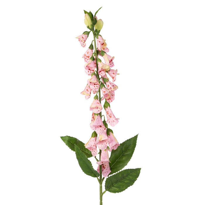 Crafted English Foxglove