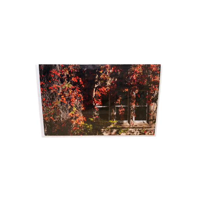 Debra Marshall Photography - Greeting Card (Assorted)
