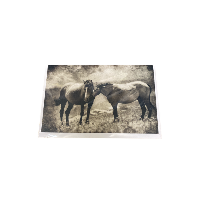 Debra Marshall Photography - Greeting Card (Assorted)