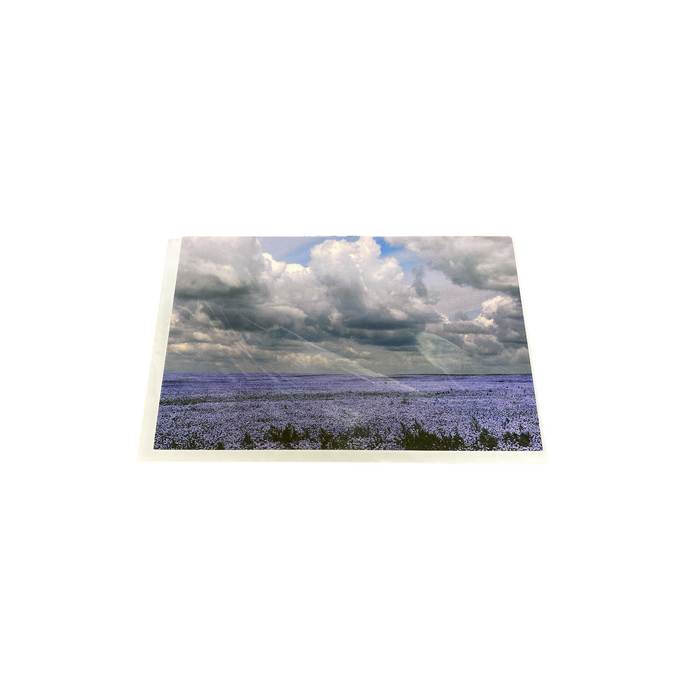 Debra Marshall Photography - Greeting Card (Assorted)