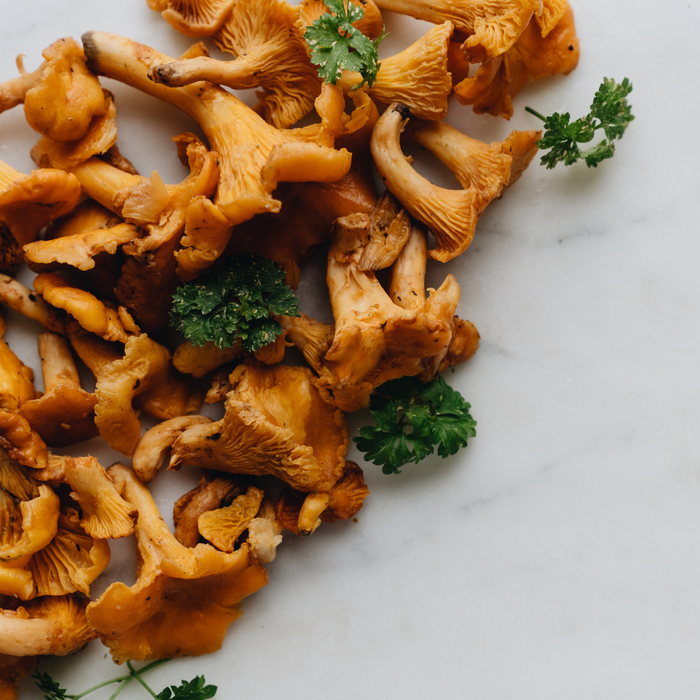 Dried Morel Mushrooms