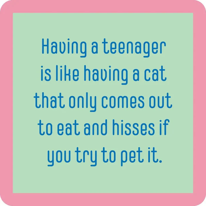 having a cat