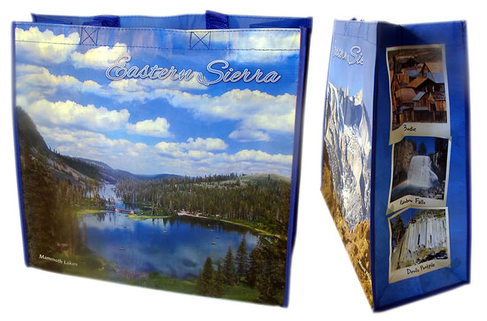 Eastern Sierra Shopping Bag