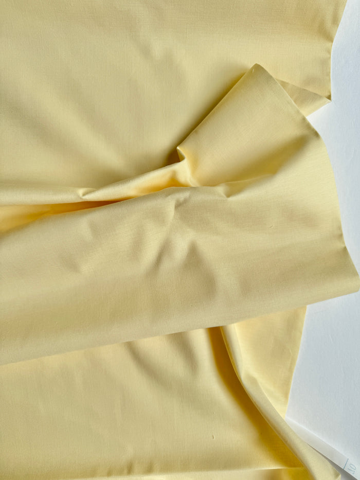 Eggshell Solid - Japanese Import
