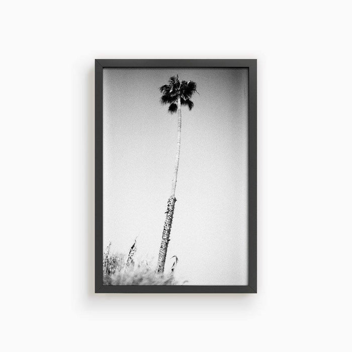 16 x 24 inches | Edition of 20 / Black / Full Bleed