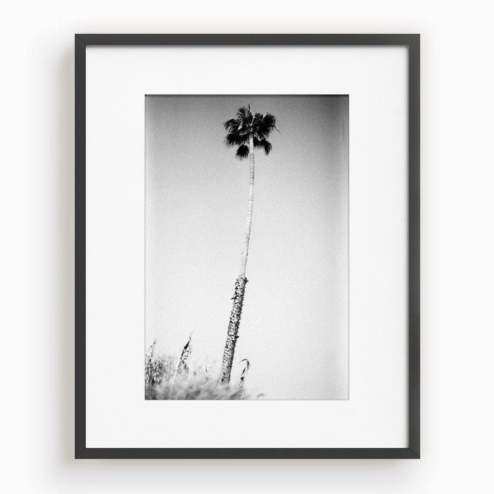 16 x 24 inches | Edition of 20 / Black / Matted