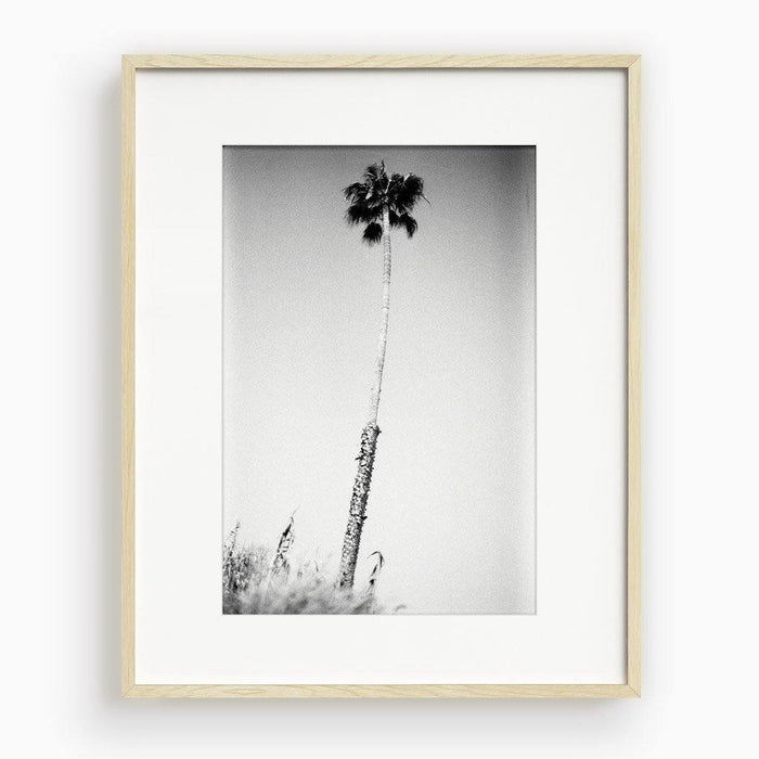16 x 24 inches | Edition of 20 / Natural / Matted