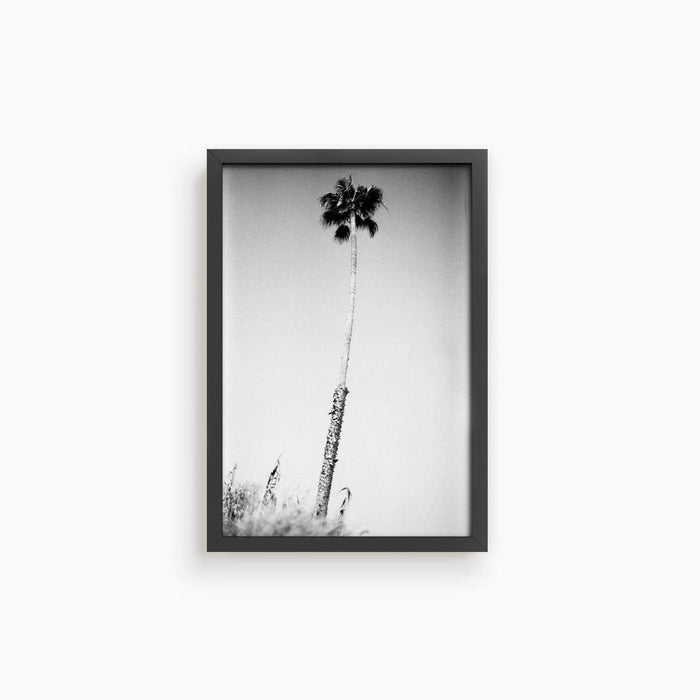 10 x 15 inches | Edition of 30 / Black / Full Bleed