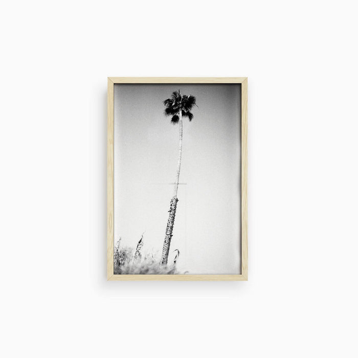 10 x 15 inches | Edition of 30 / Natural / Full Bleed