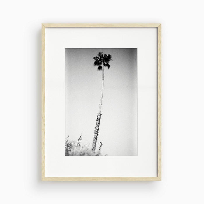 10 x 15 inches | Edition of 30 / Natural / Matted