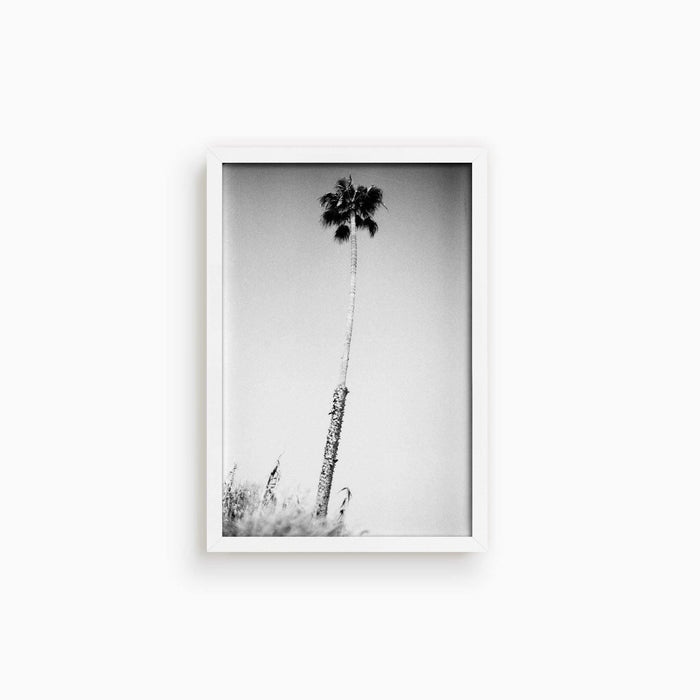 10 x 15 inches | Edition of 30 / White / Full Bleed
