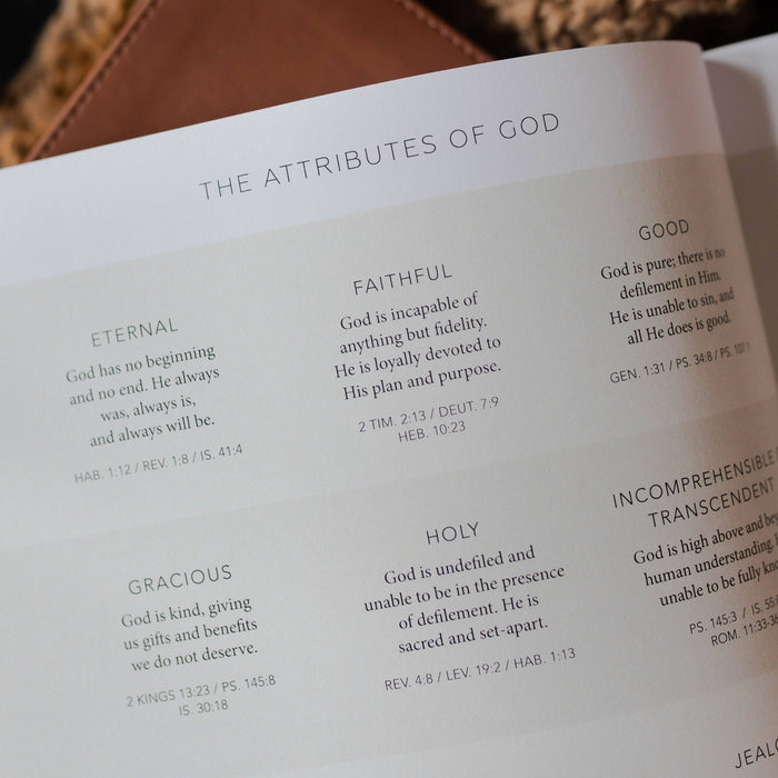 Esther | Seeing God When He Is Silent