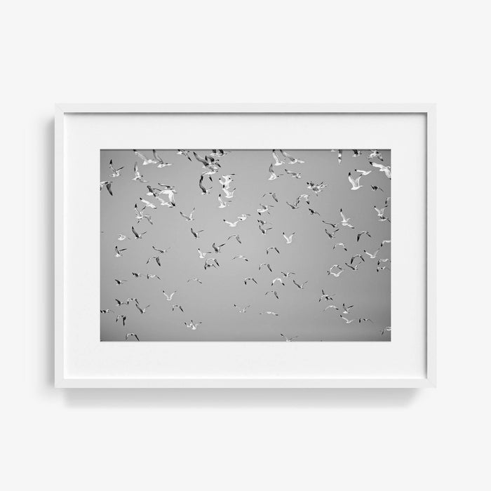 16 x 24 inches | Edition of 20 / White / Matted