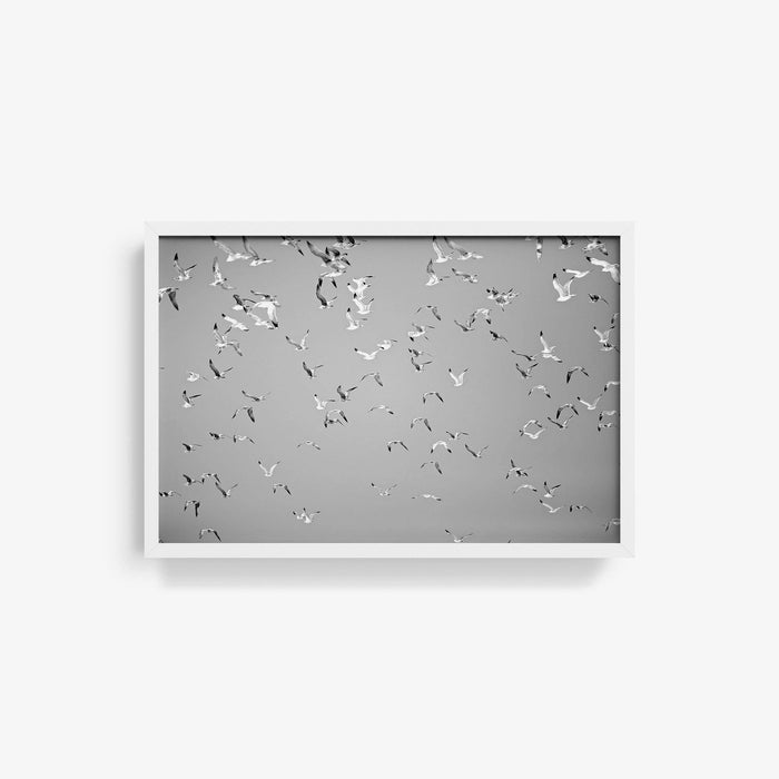 16 x 24 inches | Edition of 20 / White / Full Bleed