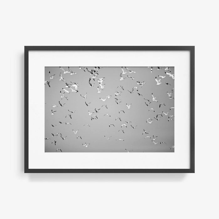 16 x 24 inches | Edition of 20 / Black / Matted