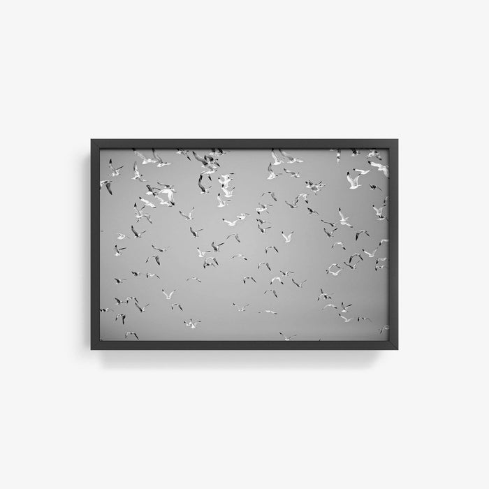 16 x 24 inches | Edition of 20 / Black / Full Bleed