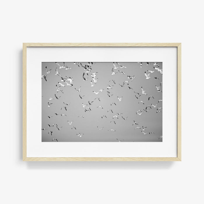 16 x 24 inches | Edition of 20 / Natural / Matted