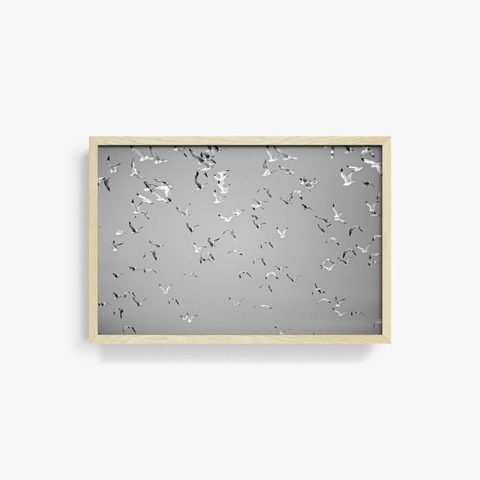 16 x 24 inches | Edition of 20 / Natural / Full Bleed