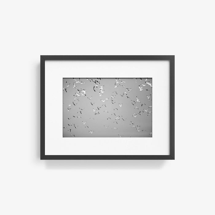 10 x 15 inches | Edition of 30 / Black / Matted