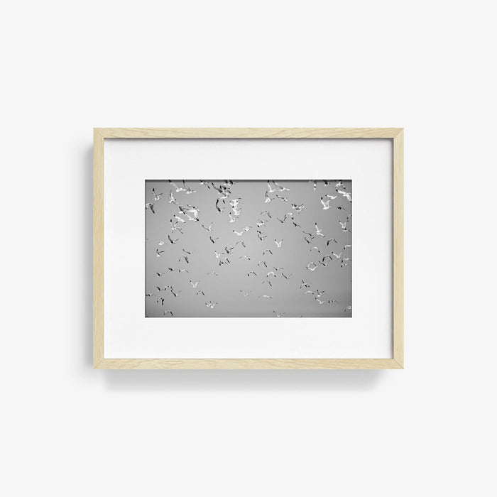 10 x 15 inches | Edition of 30 / Natural / Matted