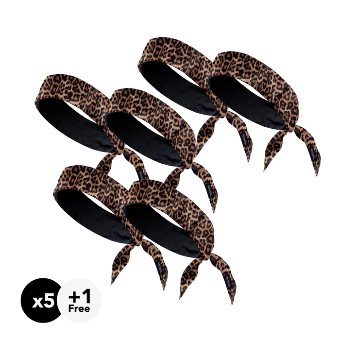 Leopard (6)