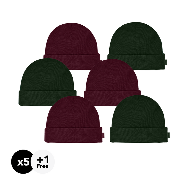 Sugarplum (3) Forest Green (3)