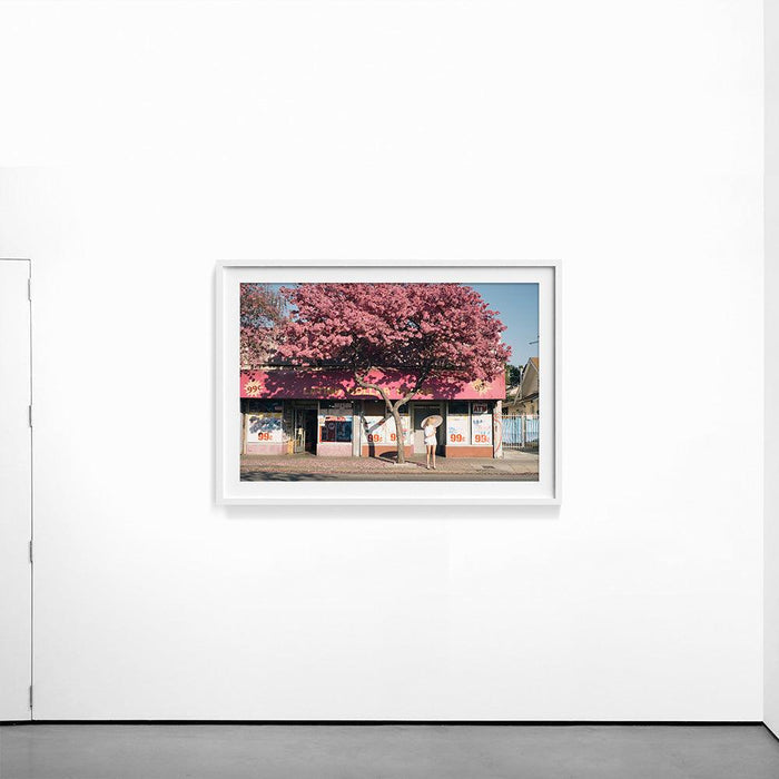 A framed photograph of a vibrant pink blossoming tree in front of a pink store displayed on a white wall