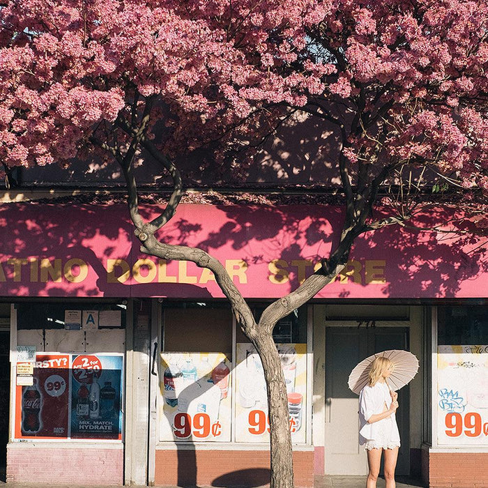 A woman holding a white umbrella stands under a large pink blossoming tree in front of a pink store facade