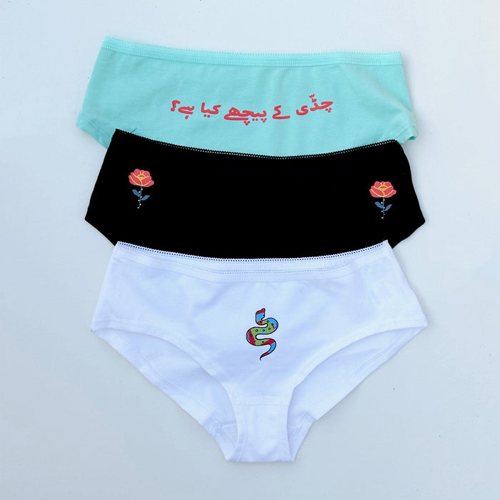 Hipster 01 - Sweat Free Underpant Briefs for Women