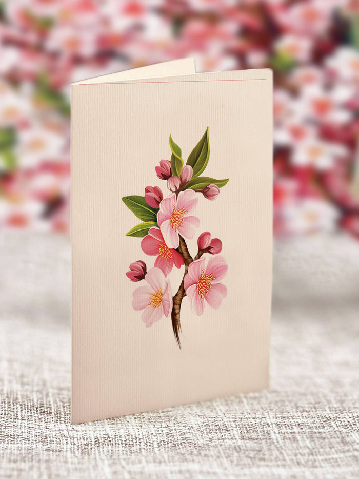 Japanese Cherry Blossoms |  Pop-up Greeting Cards