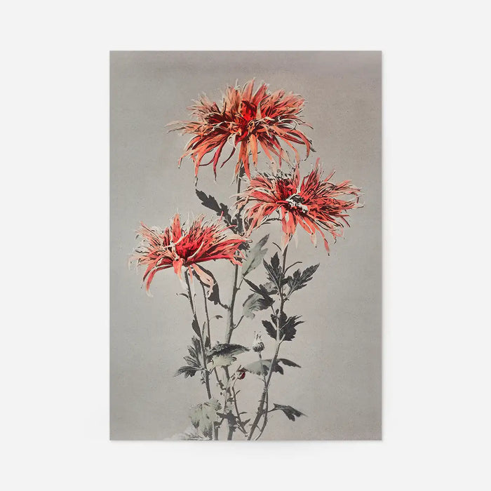 Kin-shi-shi Ogawa Kazumasa Flowers 30x40cm Clearance Print, unframed