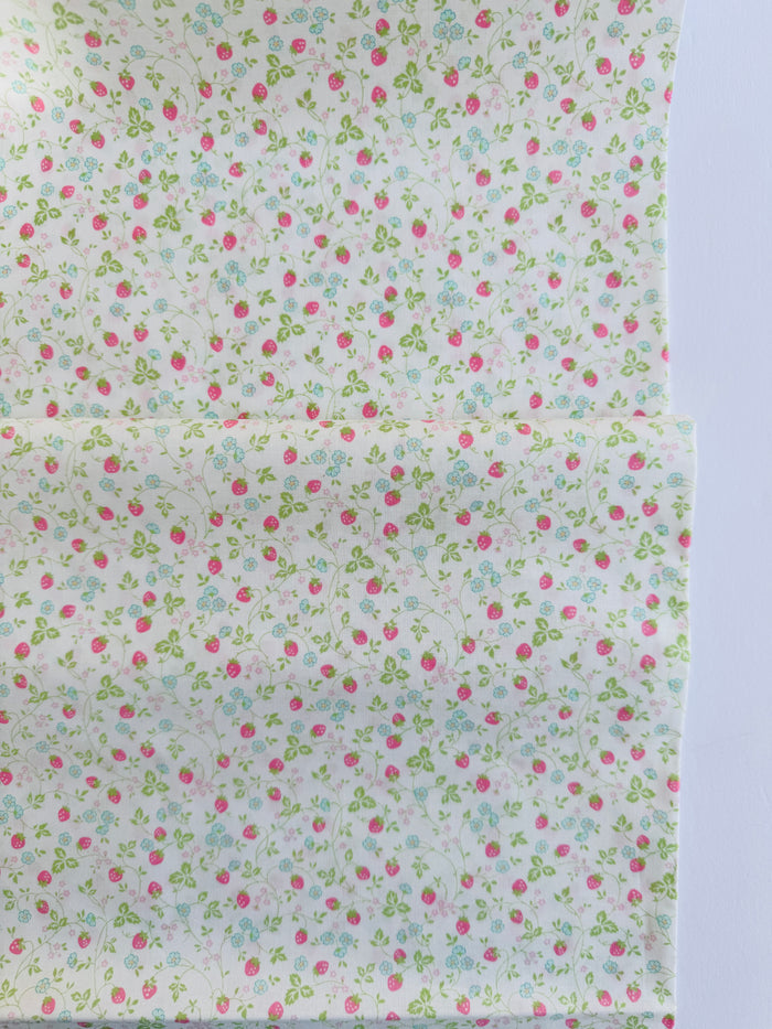 Little Berry - Pastel - 30's Collection - Atsuko Matsuyama - Yuwa